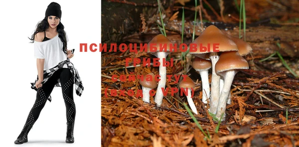 марки nbome Михайловск