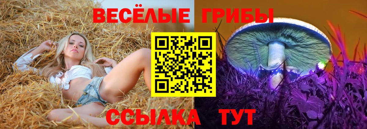 Псилоцибиновые грибы GOLDEN TEACHER Ивантеевка