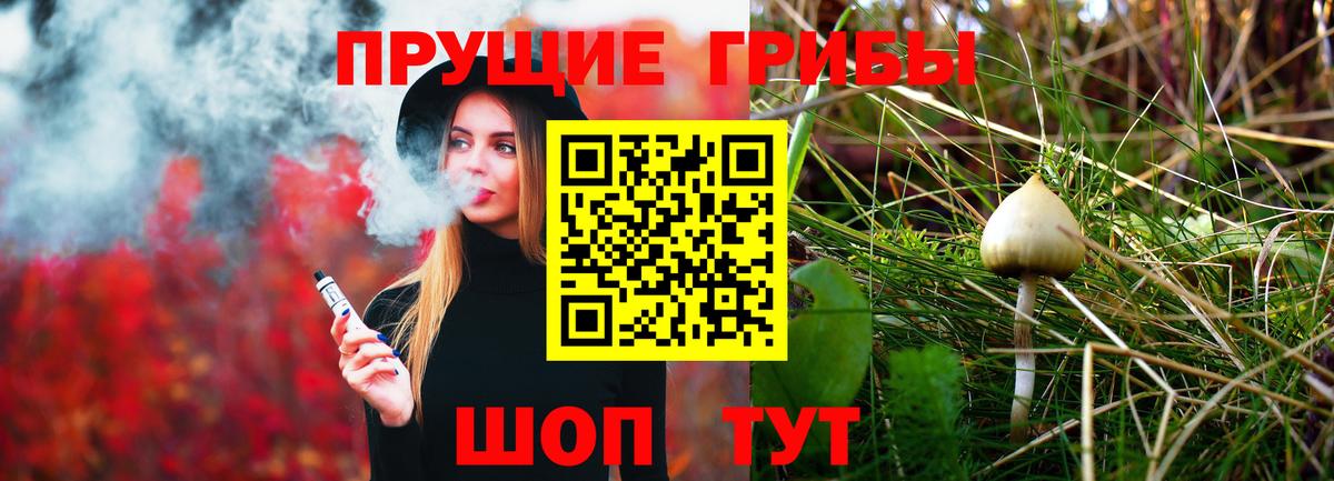 Ивантеевка  Псилоцибиновые грибы Cubensis  Псилоцибиновые грибы Psilocybe  купить наркоту  Вход с VPN 
